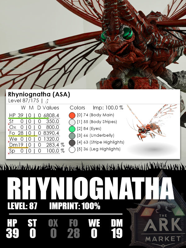 Rhyniognatha | Various - The Ark Market