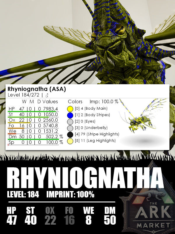 Rhyniognatha | Various - The Ark Market