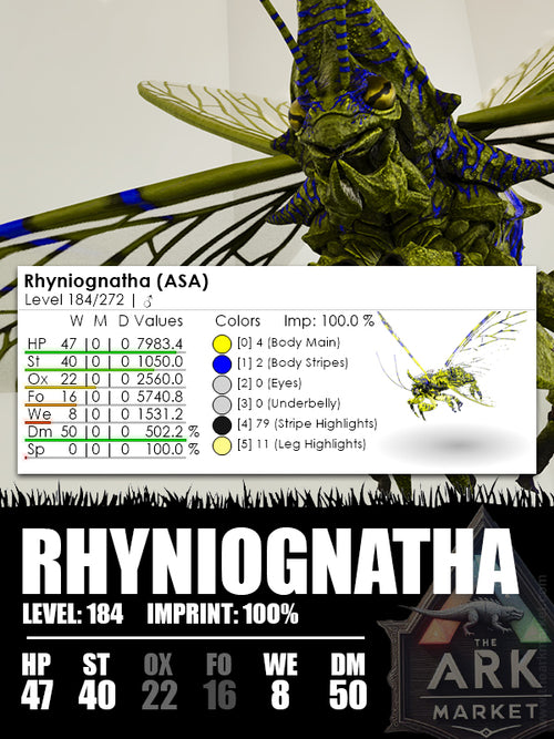 Rhyniognatha | Various - The Ark Market