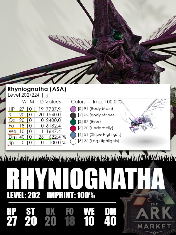 Rhyniognatha | Various - The Ark Market