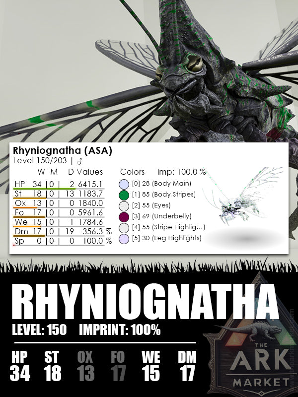 Rhyniognatha | Various - The Ark Market