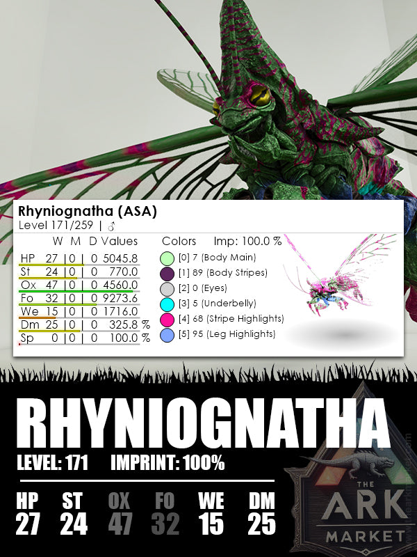 Rhyniognatha | Various - The Ark Market