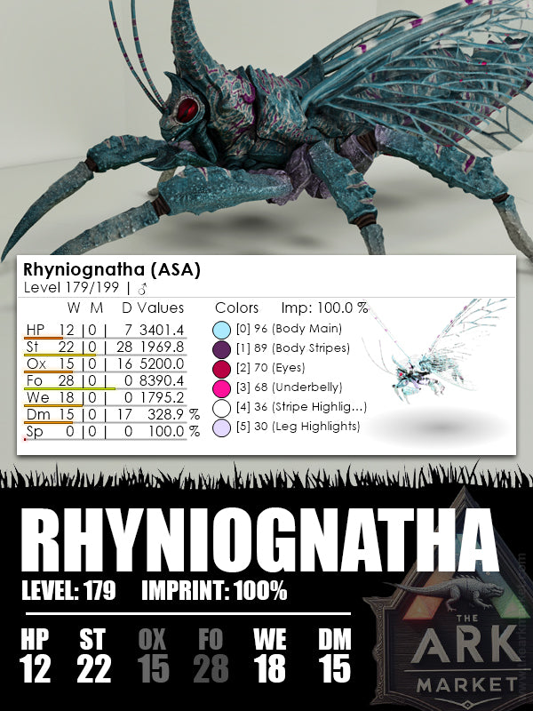 Rhyniognatha | Various - The Ark Market