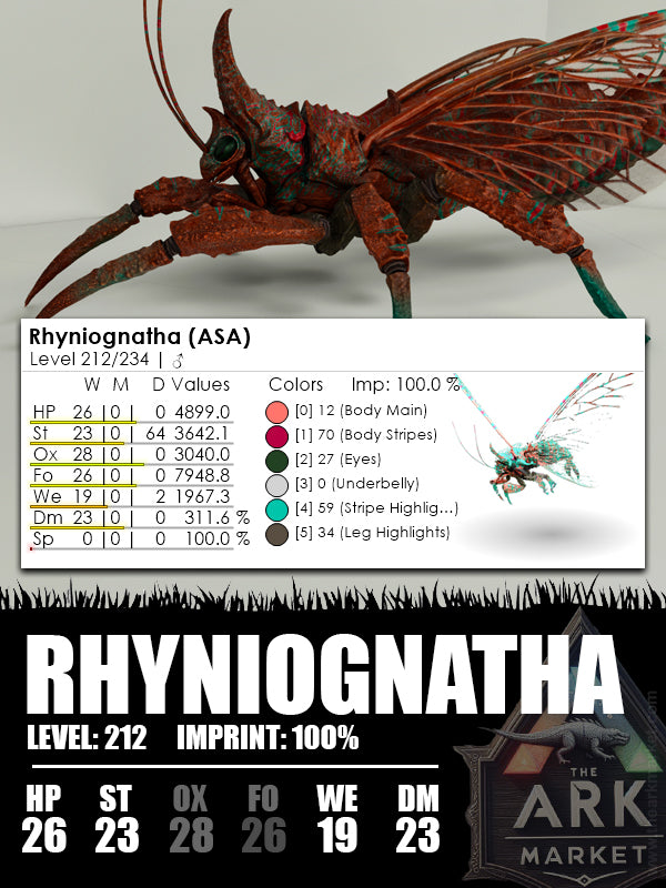 Rhyniognatha | Various - The Ark Market
