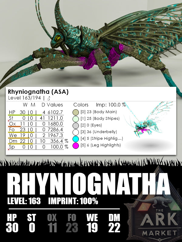 Rhyniognatha | Various - The Ark Market