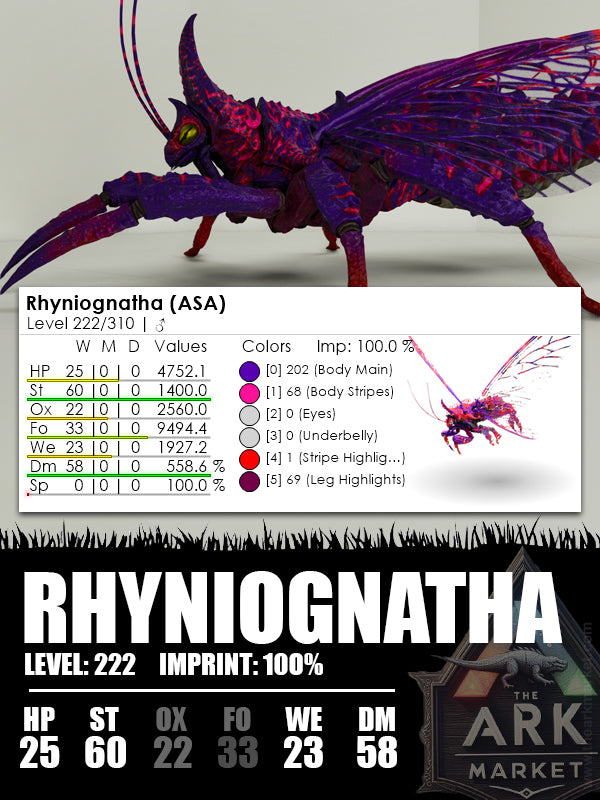 Rhyniognatha | Various - The Ark Market