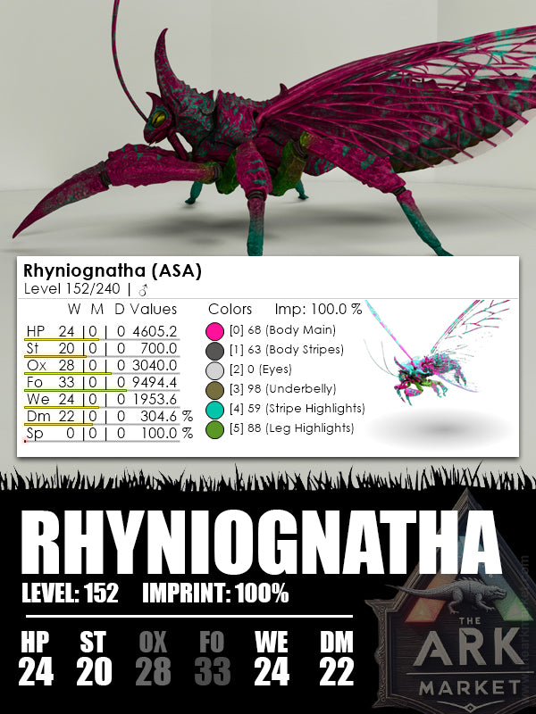 Rhyniognatha | Various - The Ark Market