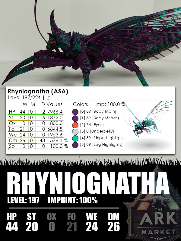 Rhyniognatha | Various - The Ark Market
