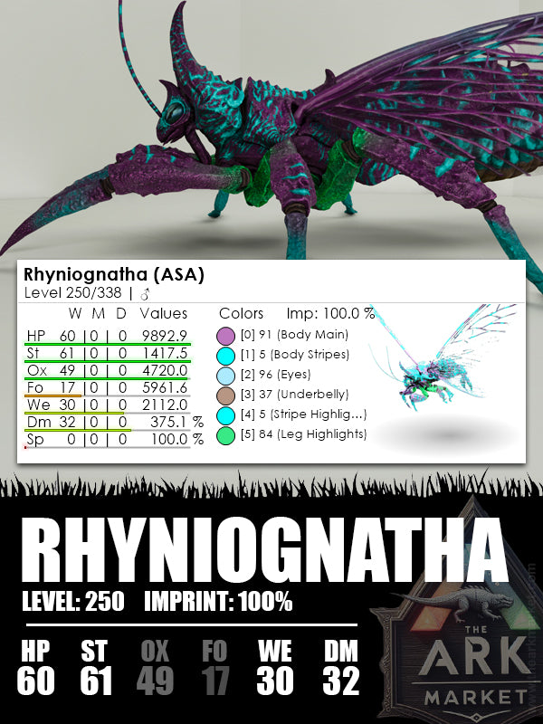Rhyniognatha | Various - The Ark Market