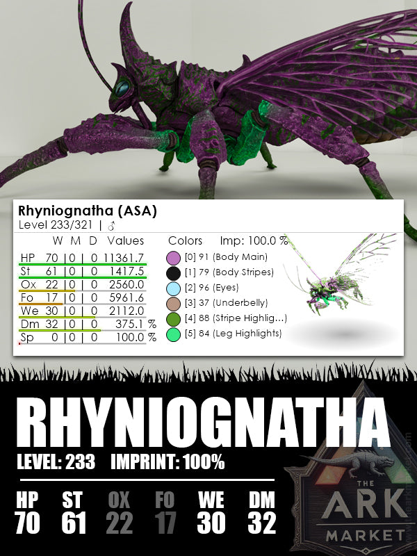 Rhyniognatha | Various - The Ark Market