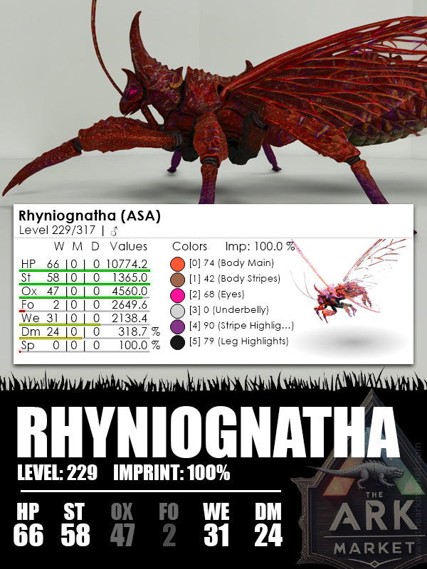 Rhyniognatha | Various - The Ark Market