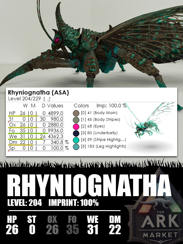 Rhyniognatha | Various - The Ark Market