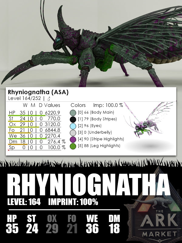Rhyniognatha | Various - The Ark Market