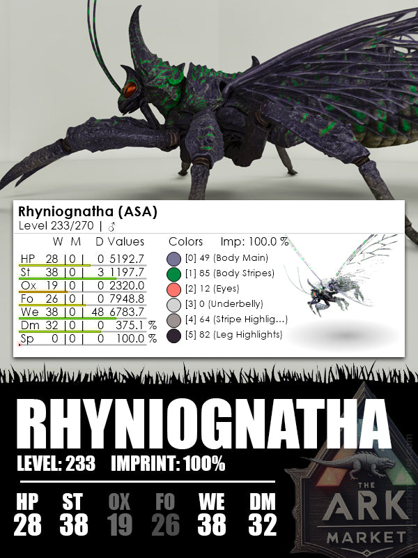 Rhyniognatha | Various - The Ark Market