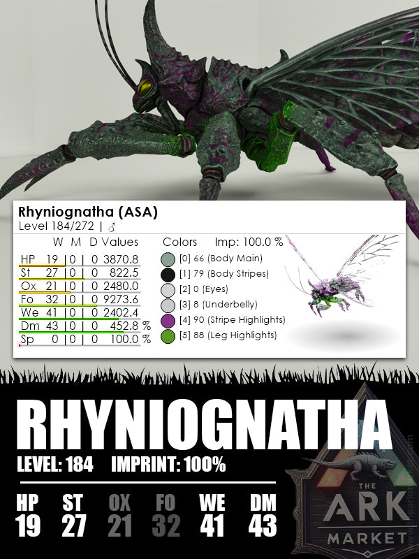 Rhyniognatha | Various - The Ark Market