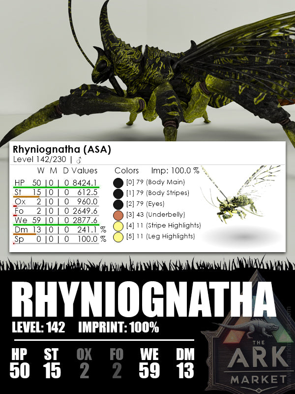 Rhyniognatha | Various - The Ark Market