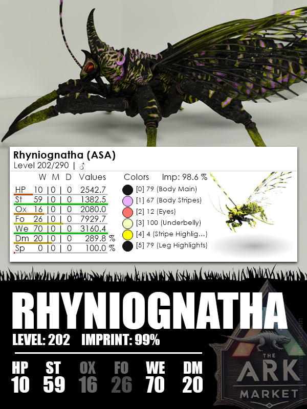 Rhyniognatha | Various - The Ark Market