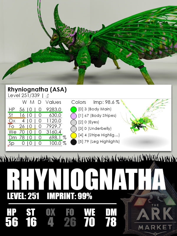 Rhyniognatha | Various - The Ark Market
