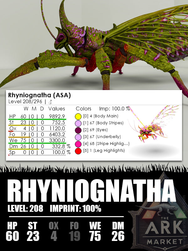 Rhyniognatha | Various - The Ark Market