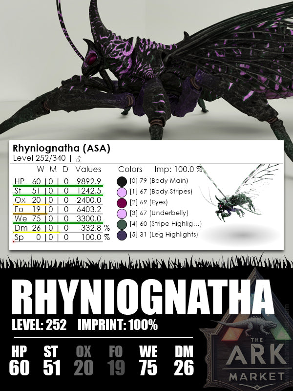Rhyniognatha | Various - The Ark Market