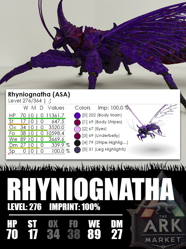 Rhyniognatha | Various - The Ark Market