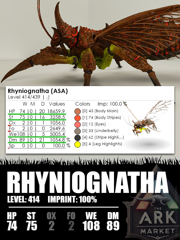 Rhyniognatha | Various - The Ark Market