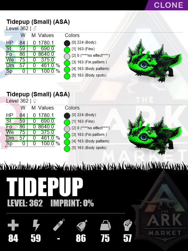 Tidepup | Lvl 362