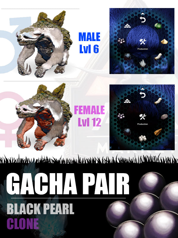 Gacha Pair | Various Resources - The Ark Market
