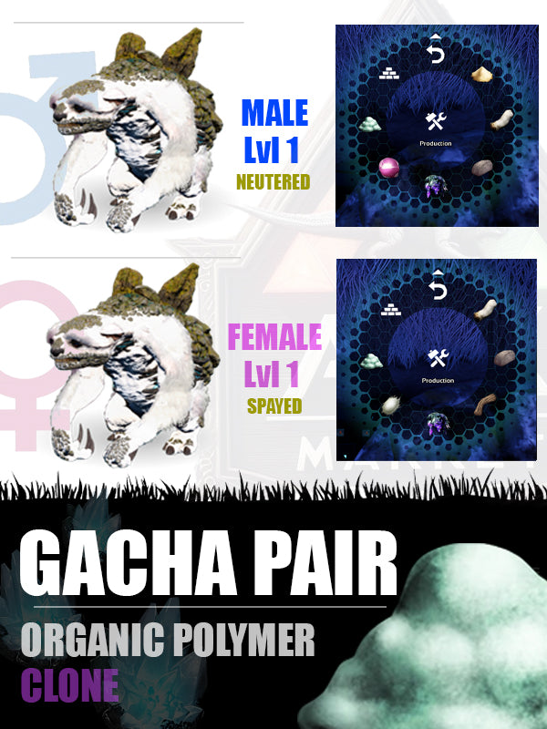 Gacha Pair | Various Resources - The Ark Market