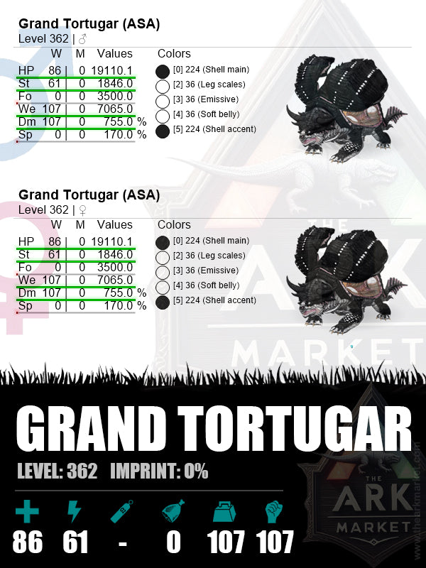 ⭐️ Grand Tortugar | Lvl362 | WE: 7065 (107) / DM: 755% (107)