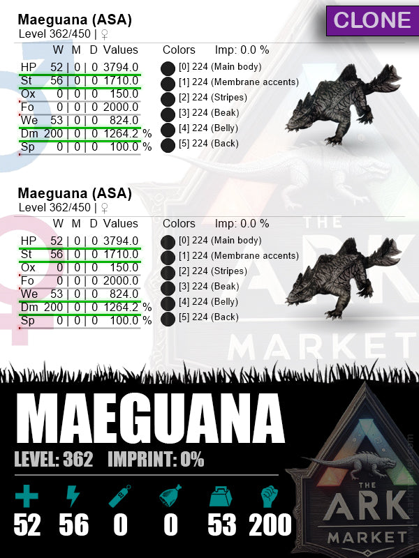 Maeguana | Lvl362 | 79-Actual Black (Clone)
