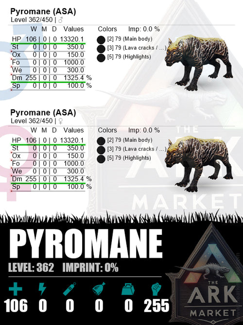 Welcome – The Ark Market