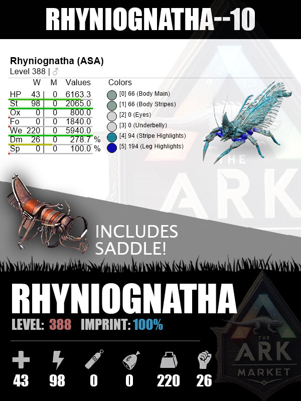 Rhyniognatha | Various Levels
