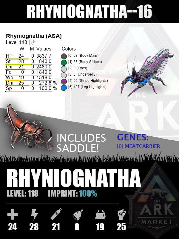 Rhyniognatha | Various Levels