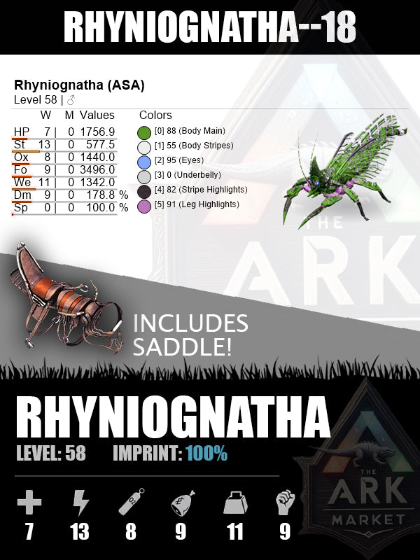 Rhyniognatha | Various Levels