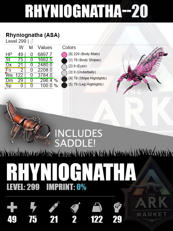 Rhyniognatha | Various Levels