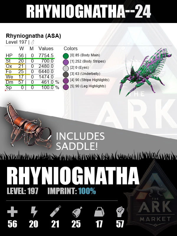 Rhyniognatha | Various Levels