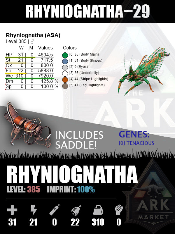 Rhyniognatha | Various Levels