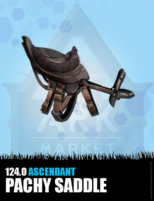Pachy Saddle - The Ark Market