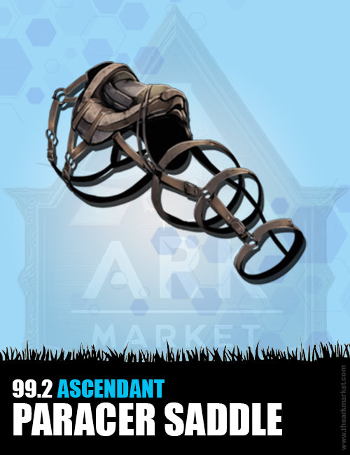 Paracer Saddle - The Ark Market