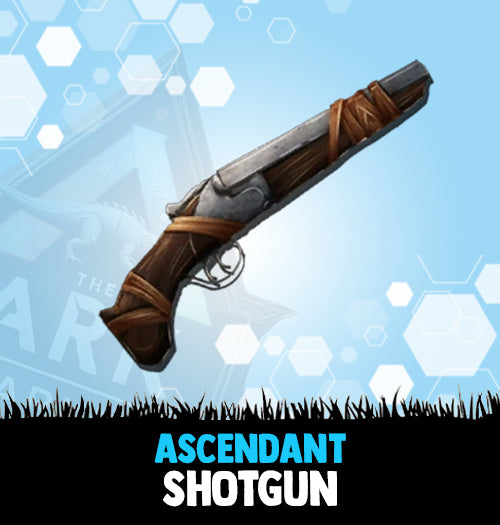 Shotgun